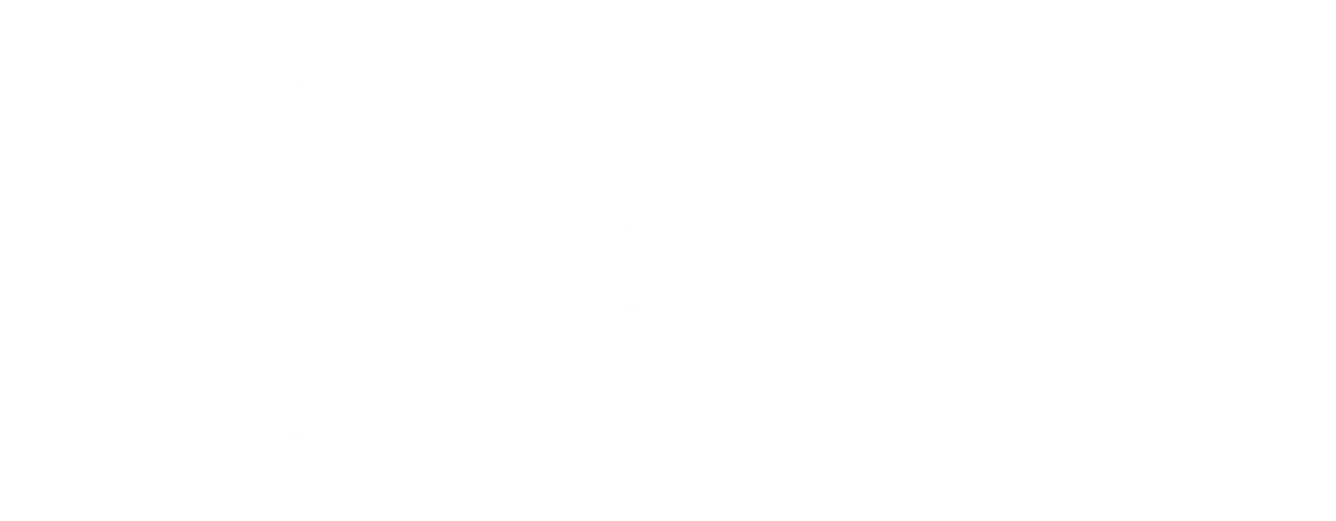 MetalMarinha Electronics